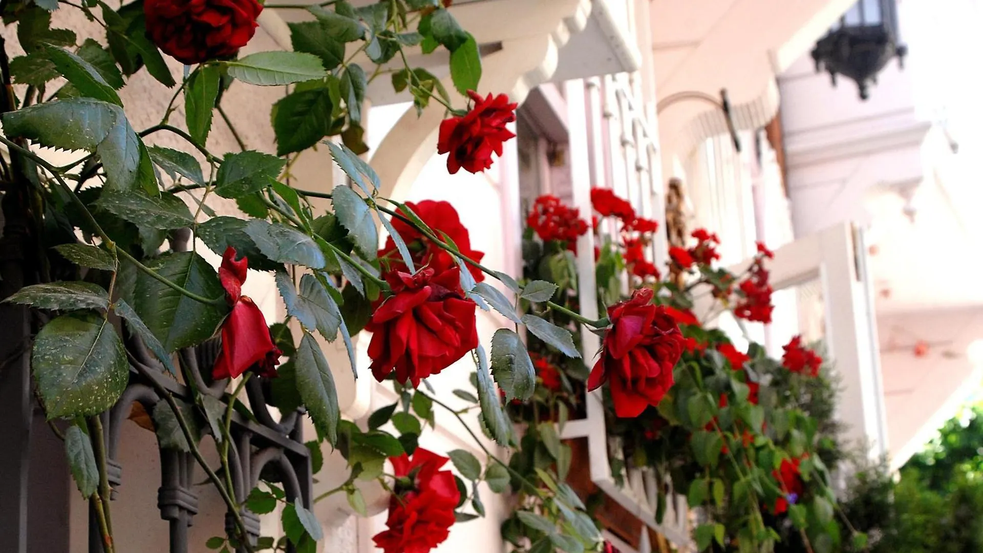 Darussaade Hotel Old City - Sultanahmet Стамбул